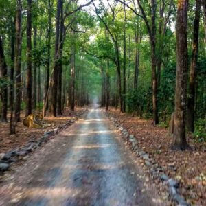 Corbett National Park